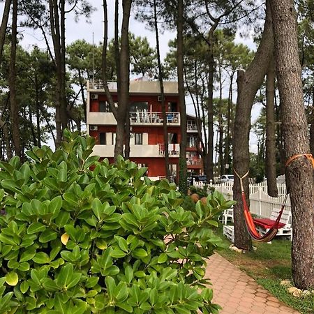 Guest House Guriani Grigoleti Εξωτερικό φωτογραφία